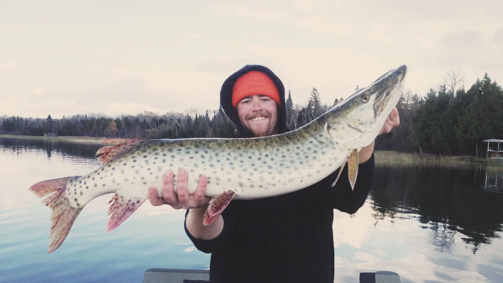 Angler holding a large muskie caught on Leech Lake