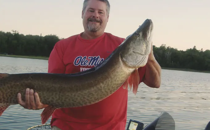 Muskie landed on a guided Leech Lake trip
